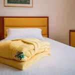 Hotel Terme Antoniano Montegrotto Terme